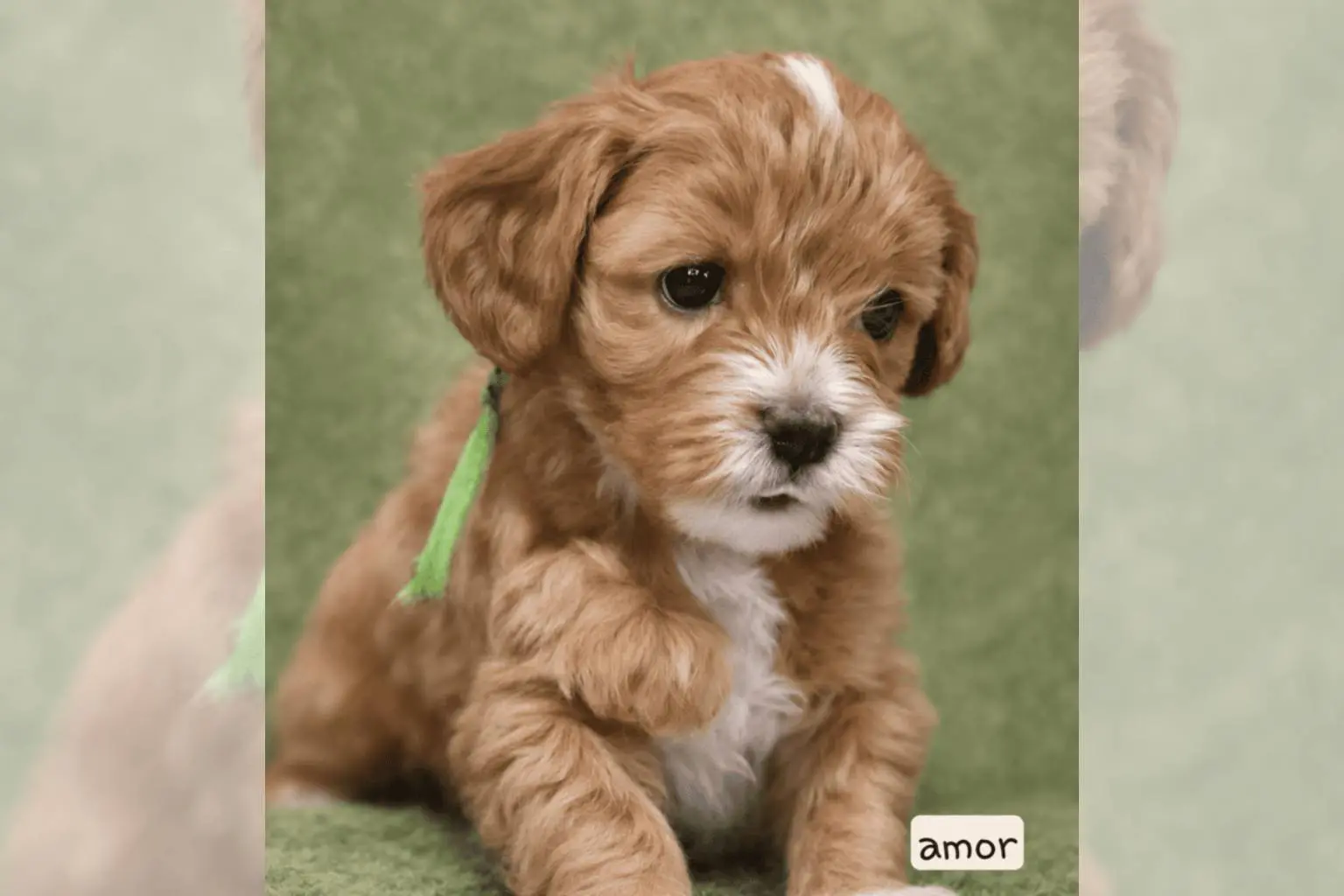 file_0000000012a4722fb23121ede61d48ee-1.png (1)
