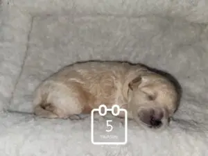 20220505_210020